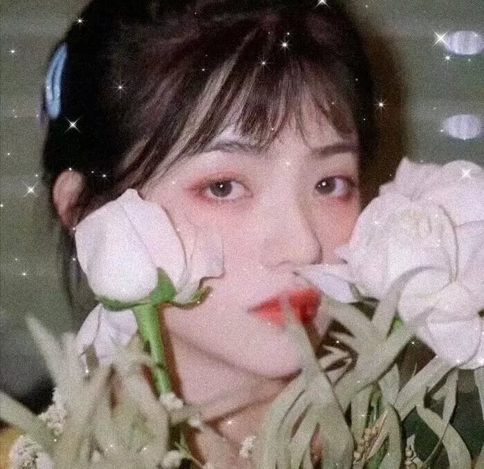 梦游故宫
